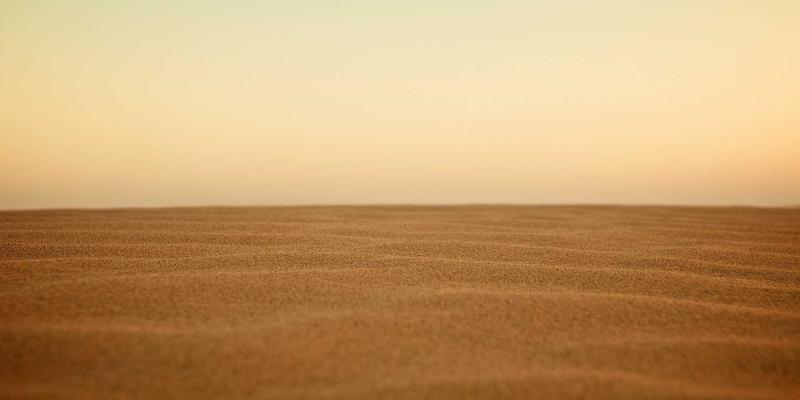 专业摄影服务59：用镜头精准捕捉活动与人像的永恒瞬间