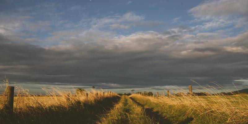 从人像到赛博朋克：新生儿摄影的安全核心与创意灵感准备清单