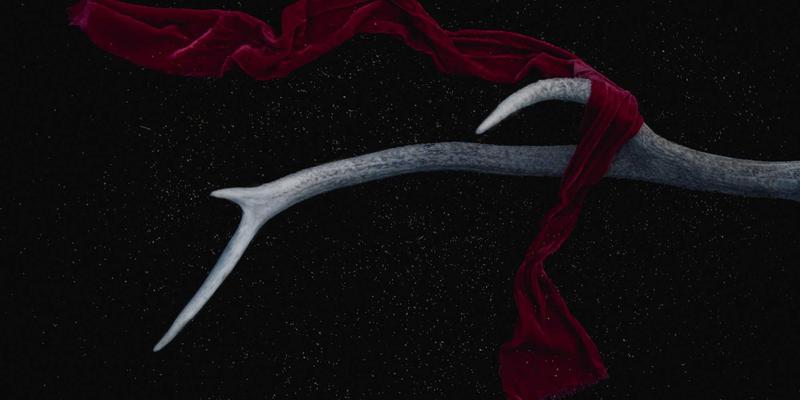 从镜头到艺术：揭秘高端人像摄影工作室的全流程体验，涵盖旅行拍摄与活动跟拍