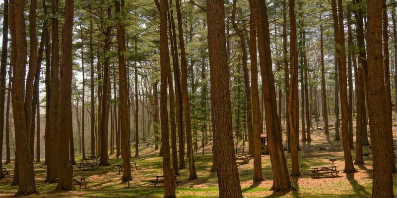 从静物到风景：极简摄影如何提升您的摄影服务质感与活动跟拍层次
