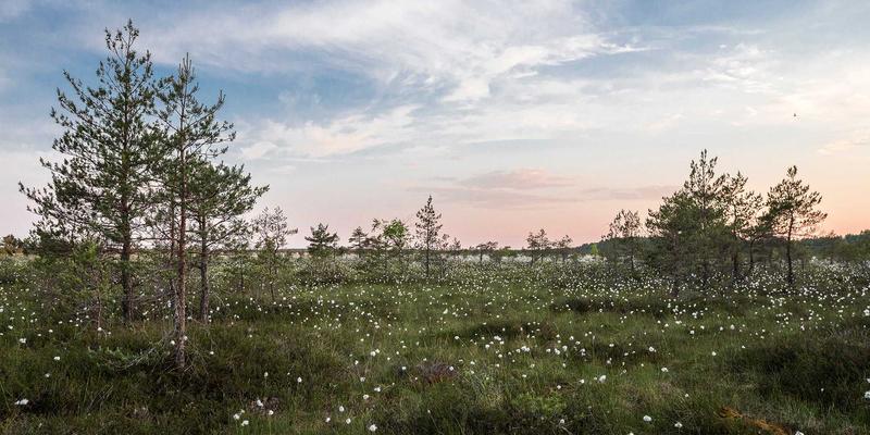 光影未来：三大摄影服务赛道的发展前景与市场机遇