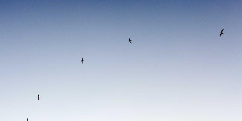 如何通过专业摄影服务与旅行拍摄，塑造令人难忘的个人品牌形象