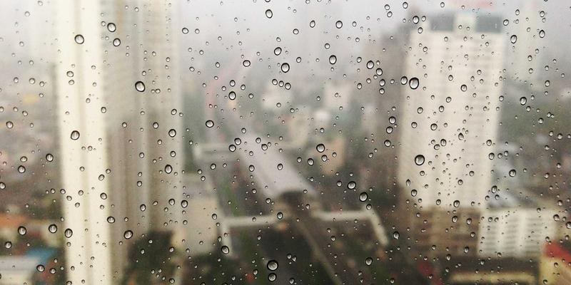 宠物亲子摄影：从风景摄影到赛博朋克风格的活动跟拍，捕捉情感瞬间的引导技巧与安全须知