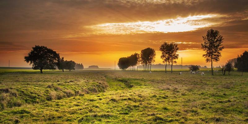 摄影服务入门指南：从人像到风景，如何选择与配合专业摄影师