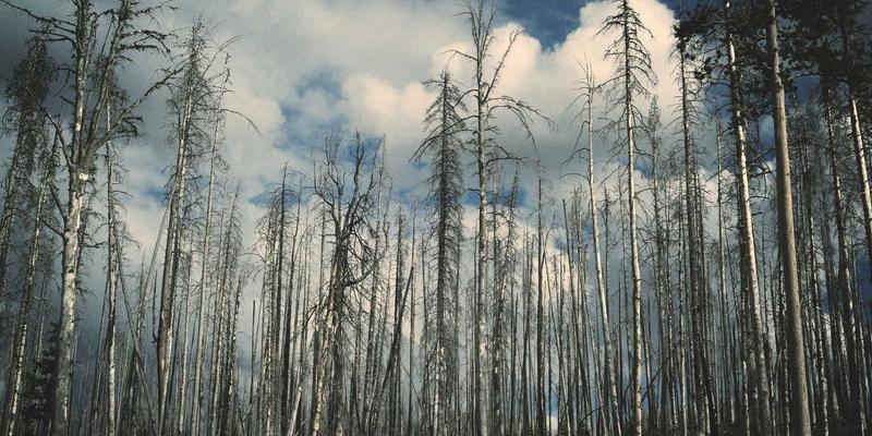 时尚服装lookbook旅行拍摄全流程：从造型搭配到动态捕捉的视觉营销指南