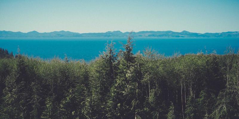 赛博朋克风格活动摄影：如何捕捉决定性瞬间与优化后期交付流程